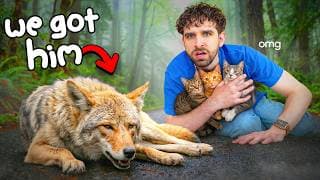 I Got REVENGE on the COYOTE Who ATE MY CAT!