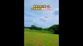 How to fold a realistic flapping paper airplane bat #Parent-Child Craft #Creative Craft