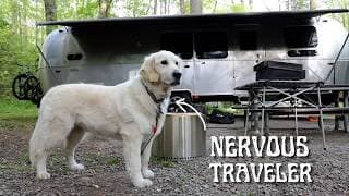 How we keep our dog safe while RVing