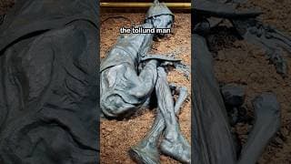 The Tollund Man