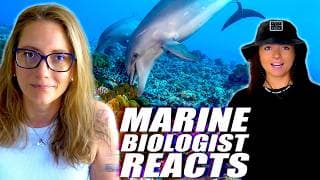 Are Whales, Dolphins, and Other Sea Creatures Using Tools? | Ft Lindsay Nikole