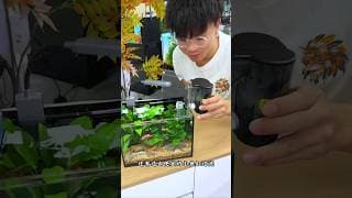 Budget Waterfall Filter for Small Fish Tanks 🐠💦 | Better Oxygen & Crystal Clear Water #FishTank