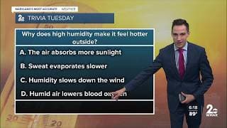 Trivia Tuesday: Why does high humidity make it feel hotter?