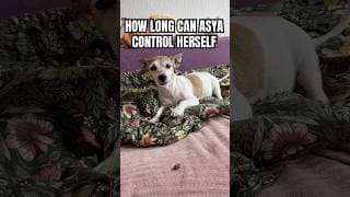 How long can Asya control herself