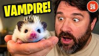 100 Mind Blowing Evolution Facts That Make Earth Feel Totally Alien
