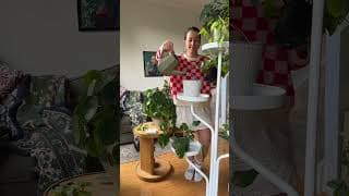 Relaxing Houseplant Care Day | Aesthetic Houseplants & Decor