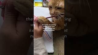 Painting with Parmesan 🐾 ! The full video just dropped on my channel! #cat #painting #zendoodle