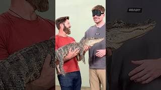 Guess The Animal