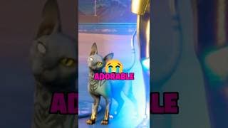 My New Pet is ADORABLE! 🥹😭