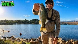 Topwater Fishing at Castaic Lake in 100° Heat