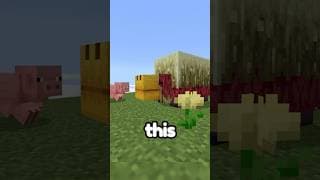 Even Mojang KNOWS the sniffer NEEDS AN UPDATE…