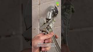 My Bathroom Looks $5,000 Better for $50 😲 | 4 Easy DIY Bathroom Upgrades