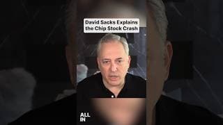 David Sacks: The Chip Stock Crash is Based on Momentum, NOT Fundamentals