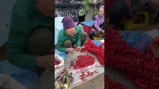 🌶️ Tiny Chilies, Giant Heat! 🔥 #phonk #duet