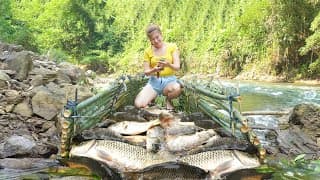 Girl weaves bamboo to block stream to make fish trap and catches a lot of fish | Peaceful farm life