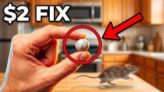 Exterminators Charge $300 to Kill Rats — This $2 Trick Works Better!