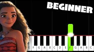 How Far I'll Go (Moana) - BEGINNER Piano Tutorial