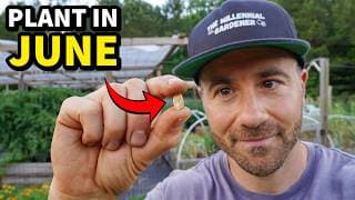 5 Crops You'll SERIOUSLY Regret Not Planting in June!
