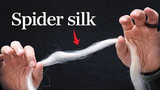 Is spider web really stronger than steel?