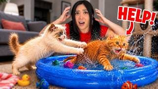I Tested Weird Banned Cat Gadgets On My Kittens! (It Went WRONG!!)