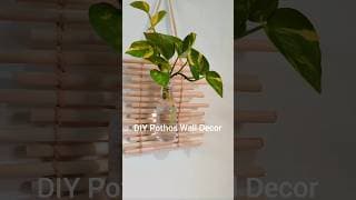 DIY Pothos Wall Decor 🌿💚  #shorts #diy #youtubeshorts #handmade #craftideas  #moneyplant #walldecor