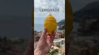 Oh Lemonade                                             #lemonade #lemons #lemontree