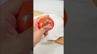 🍅 This Is What I Bring To Class Instead Of A Stress Ball ✨ DIY Tomato Squishy!