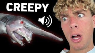 The SCARIEST Ocean Sounds