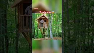 Treehouse building outdoor #construction #building #bushcraft #outdoor