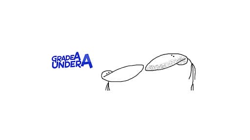 GradeAUnderA banner